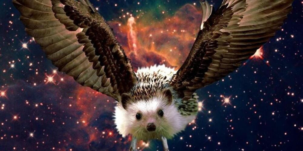 Tickets Eagel Slam, Poetry Slam Moabit in Berlin