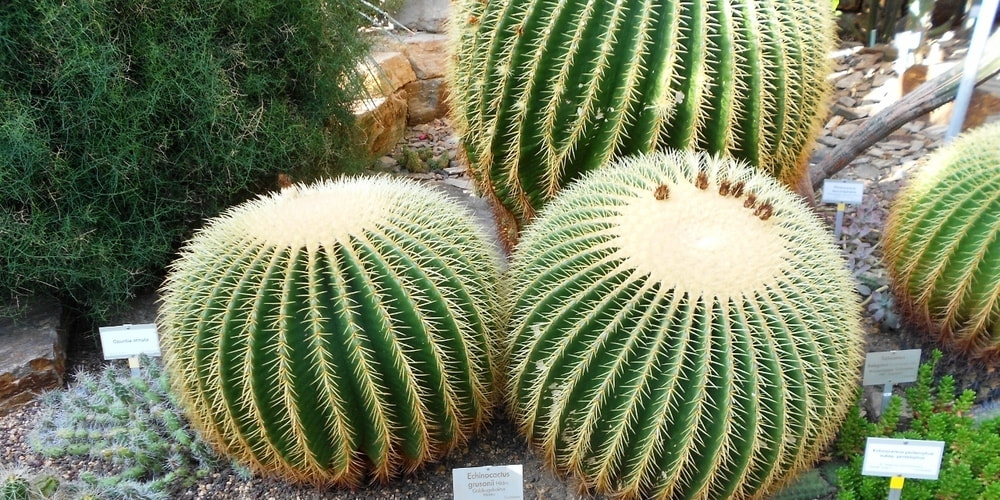 Tickets »Im und um das Literaturhaus Berlin«,  in Berlin