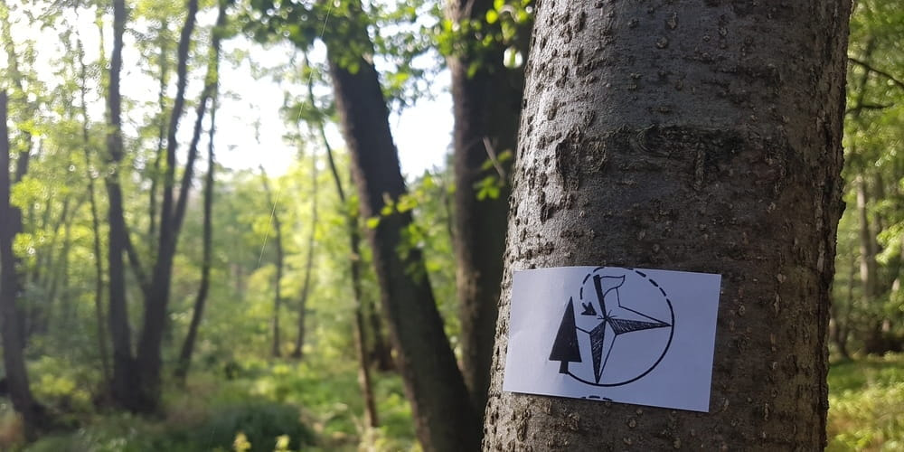 Tickets Brandenburg Race Wedding-Edition, 2021 in 