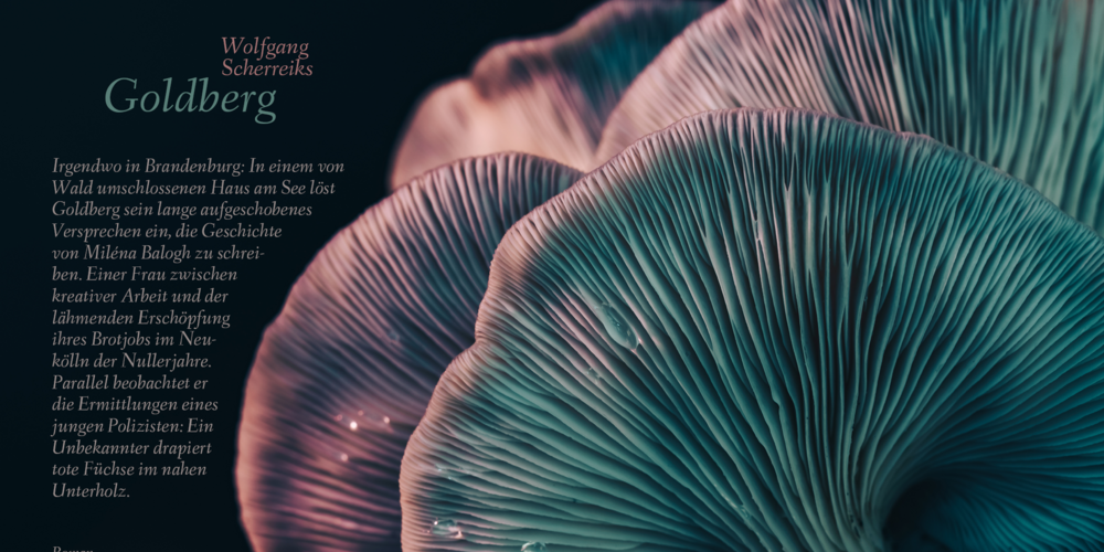 Tickets Wolfgang Scherreiks, „Goldberg“ (Romanpremiere),  in Berlin
